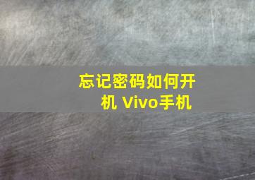 忘记密码如何开机 Vivo手机